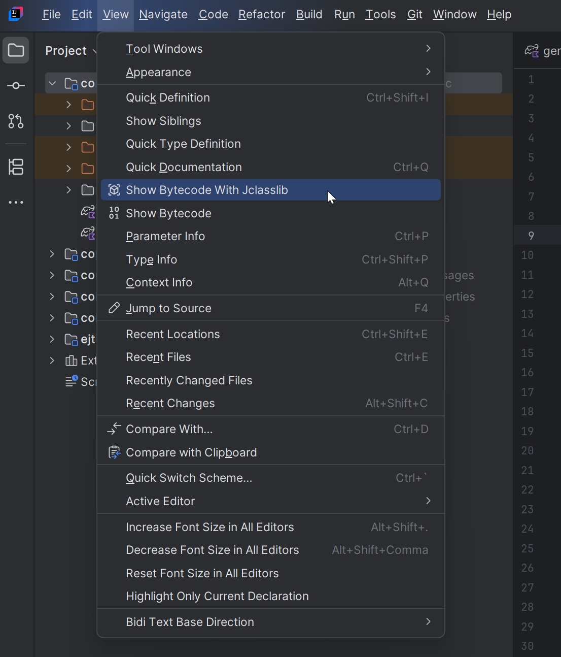 IntelliJ IDEA action
