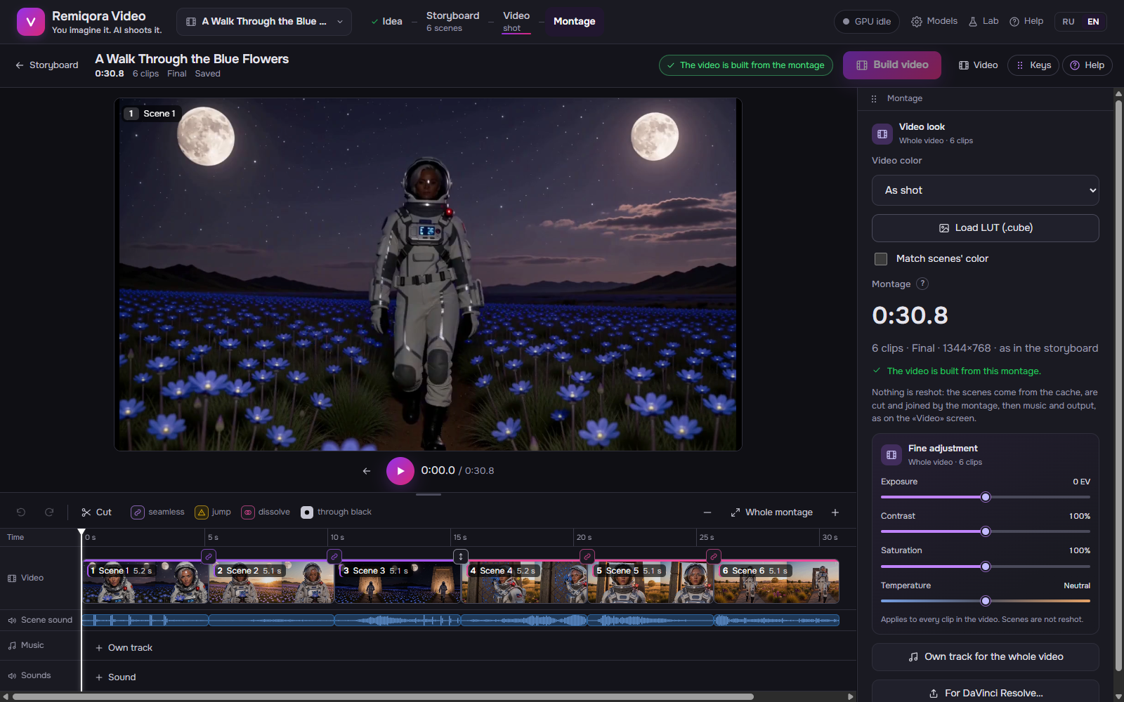 Montage: the player, the timeline with transitions and sound, the film's color