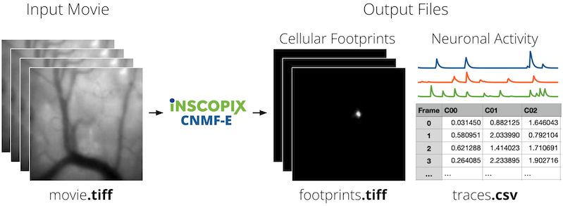  CNMF-E Workflow Example