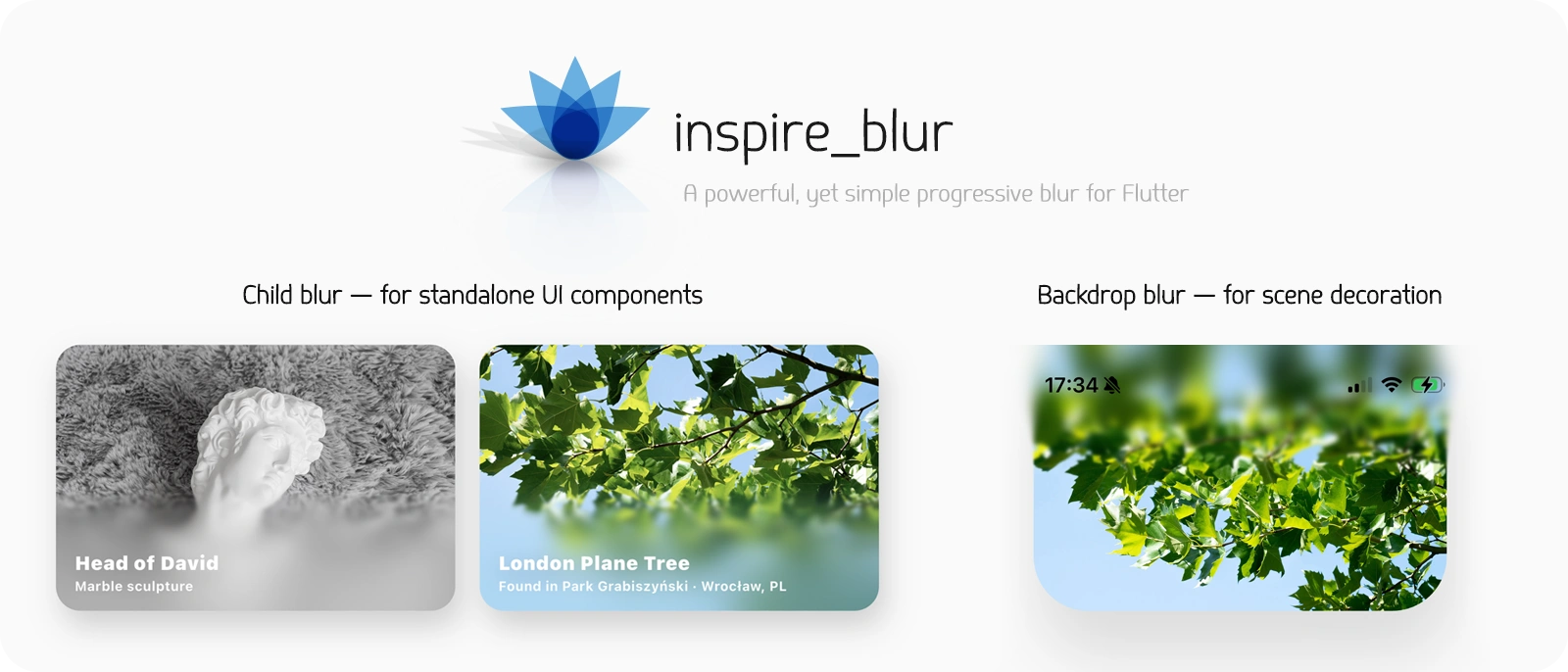 Inspire Blur
