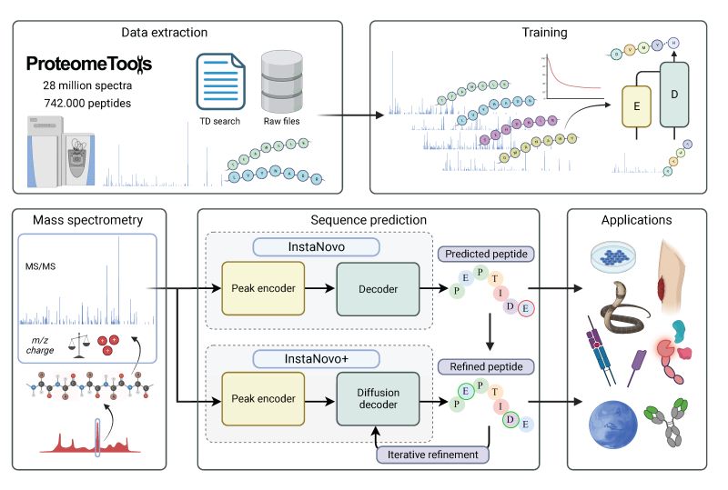 Graphical Abstract