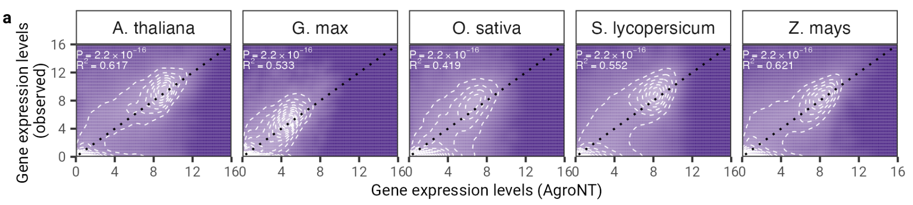 AgroNT gene expression performance
