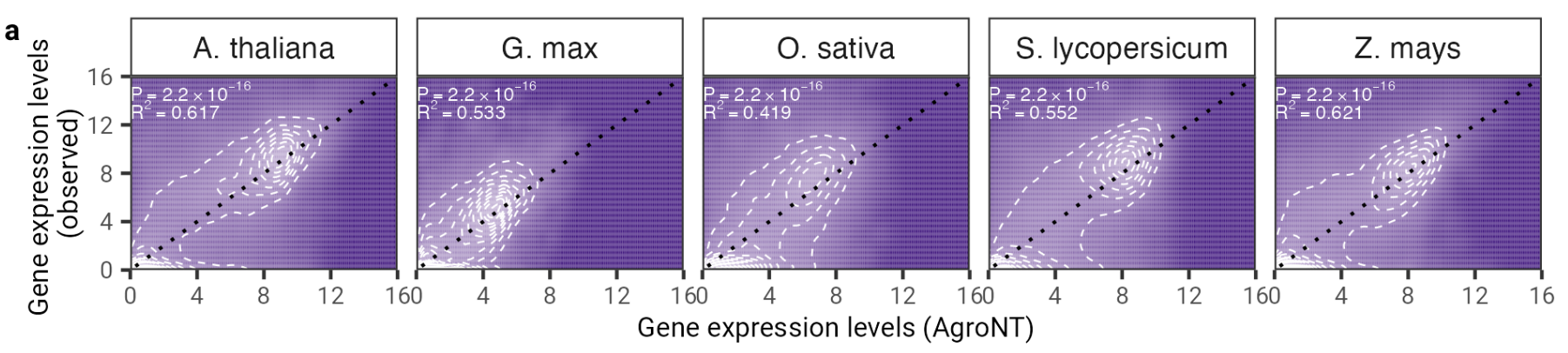 AgroNT Performance on Gene Expression