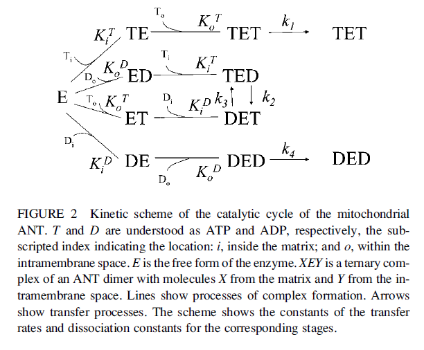 fig2