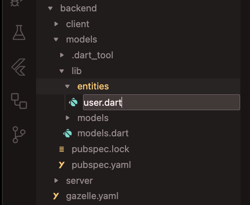 user.dart file