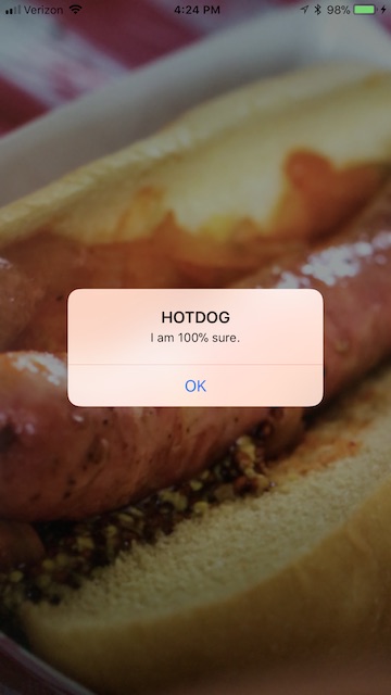 Screenshot of the app detecting a hotdog