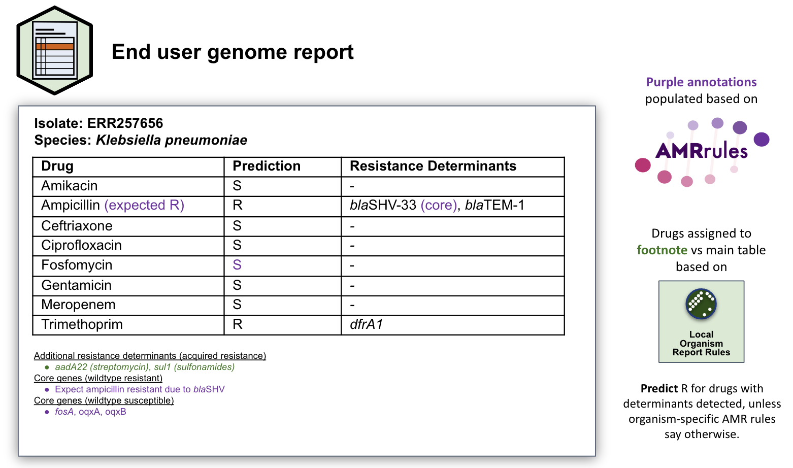 genome_report