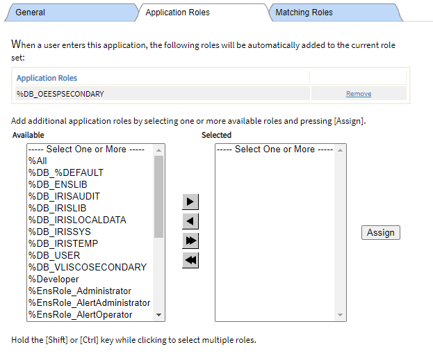 Datamodel webapplication application roles