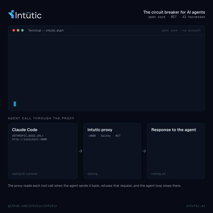 intutic 项目介绍图