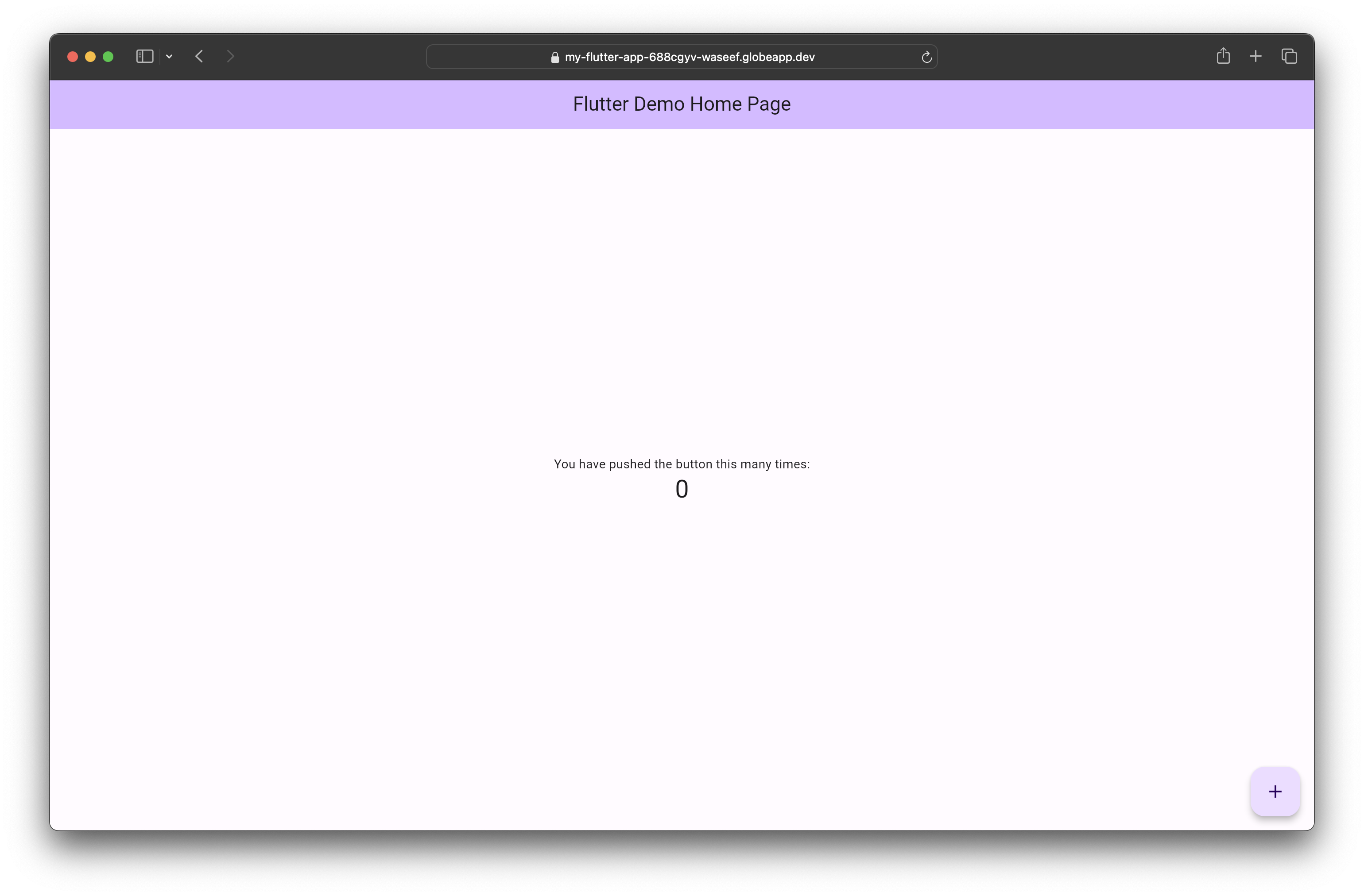 Flutter Web Application
