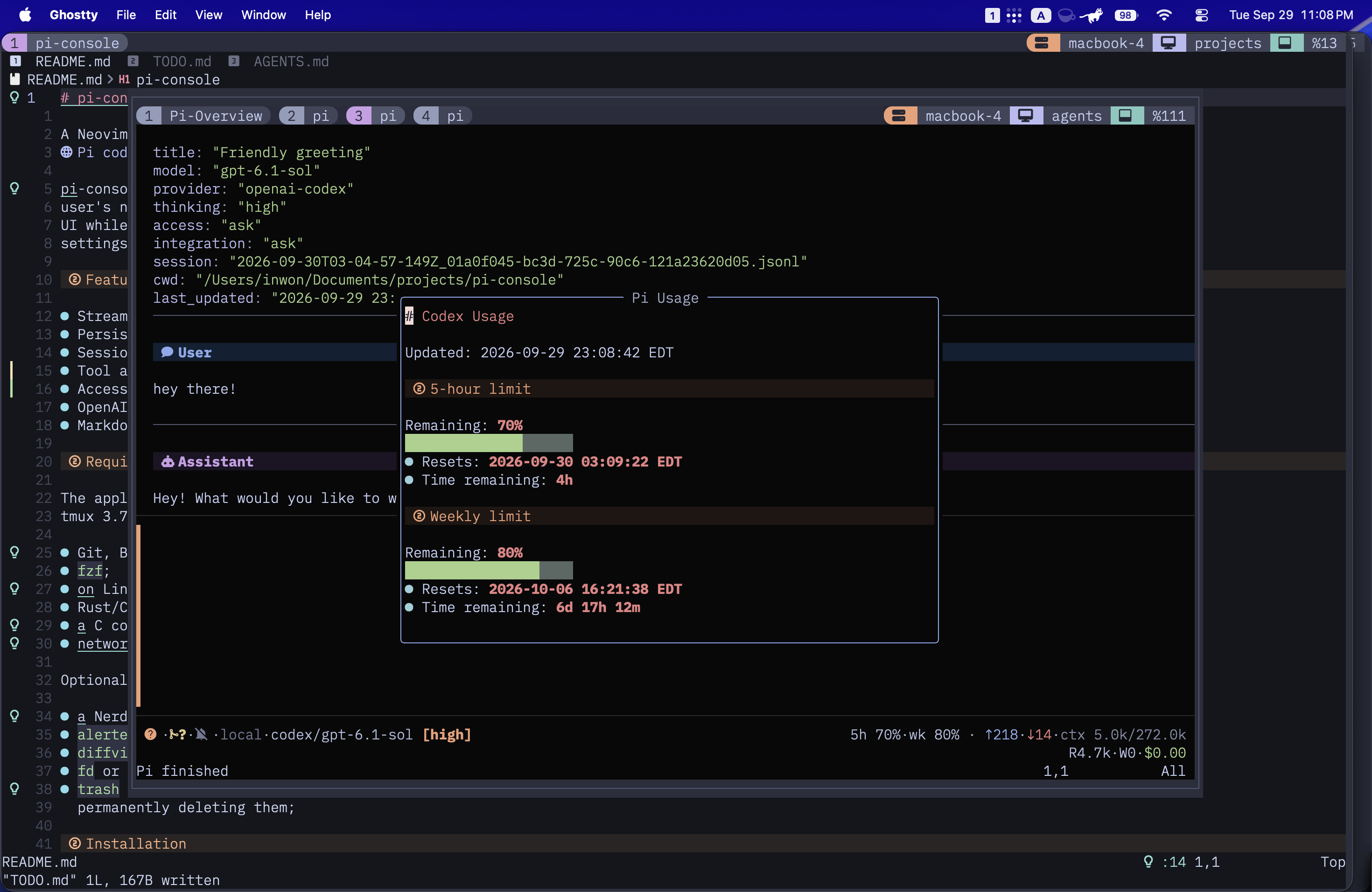 OpenAI Codex usage view showing remaining quotas and reset times