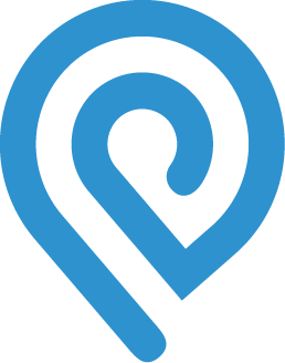 IPinfo icon