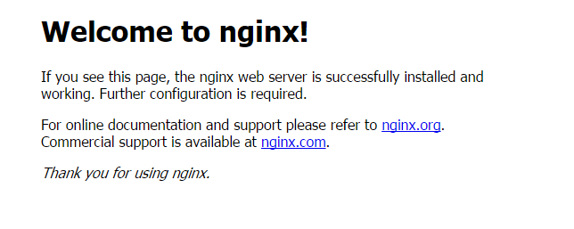Nginx 主页