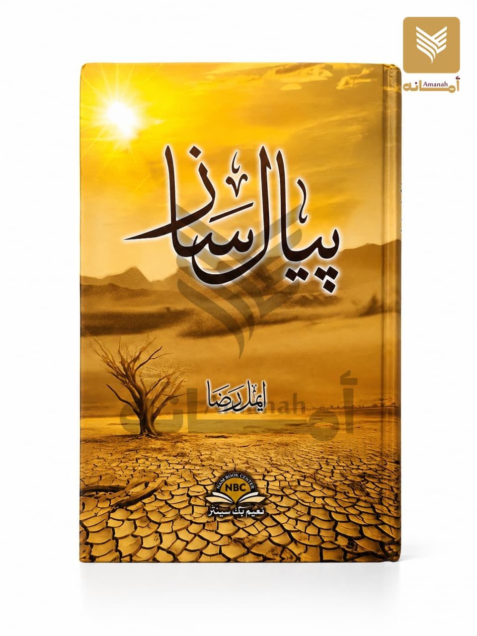 Peyal Saaz