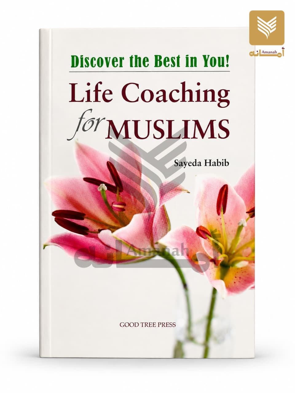 Life Coaching for Muslims