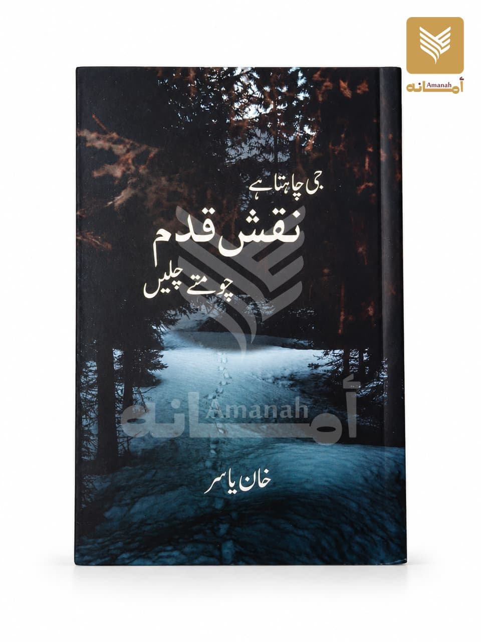Ji Chahta hai Naqsh e Qadam Choomte Chalain