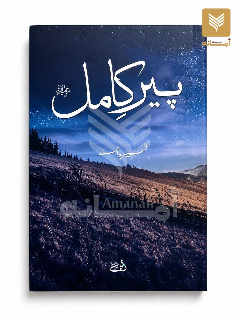 Peer-e-Kamil (Urdu Paperback)