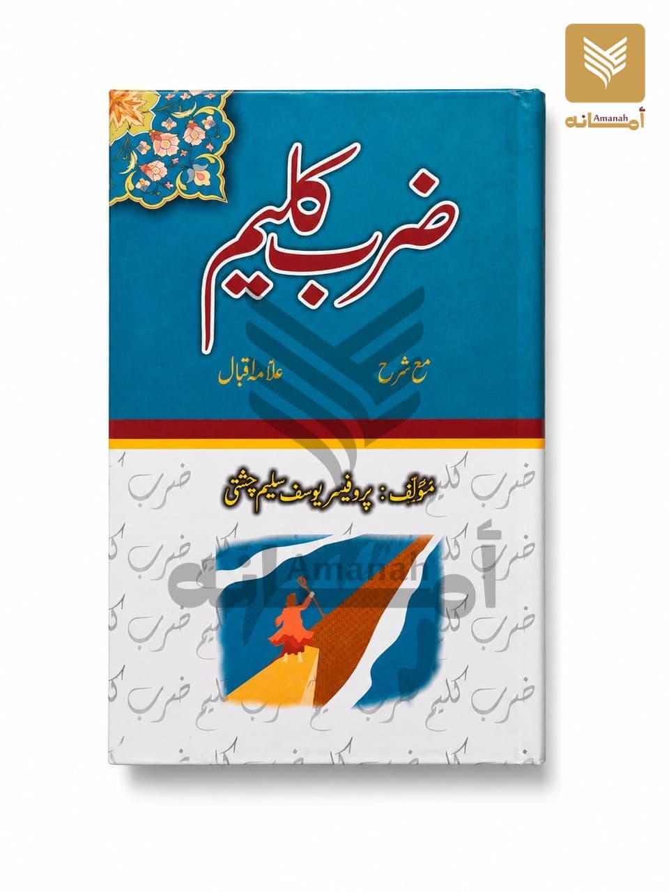 Zarb e Kaleem (Sharah)
