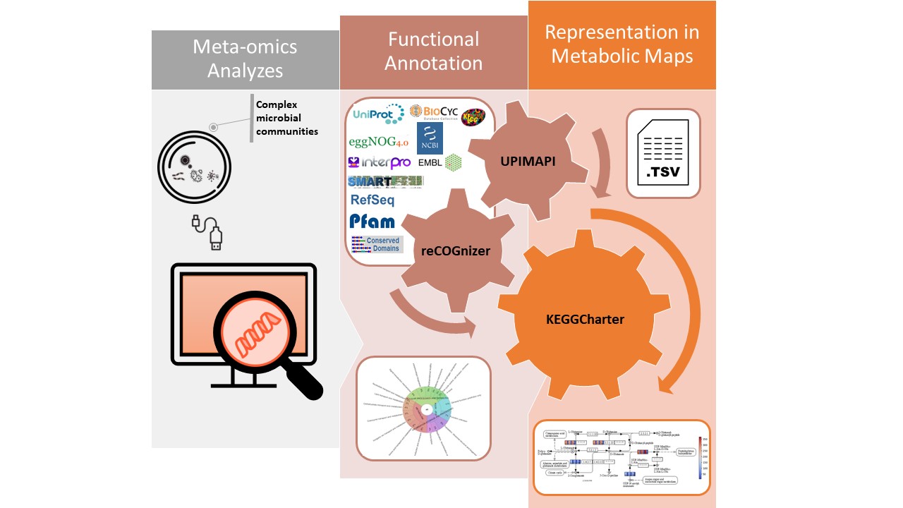 PowerPoint graphical abstract