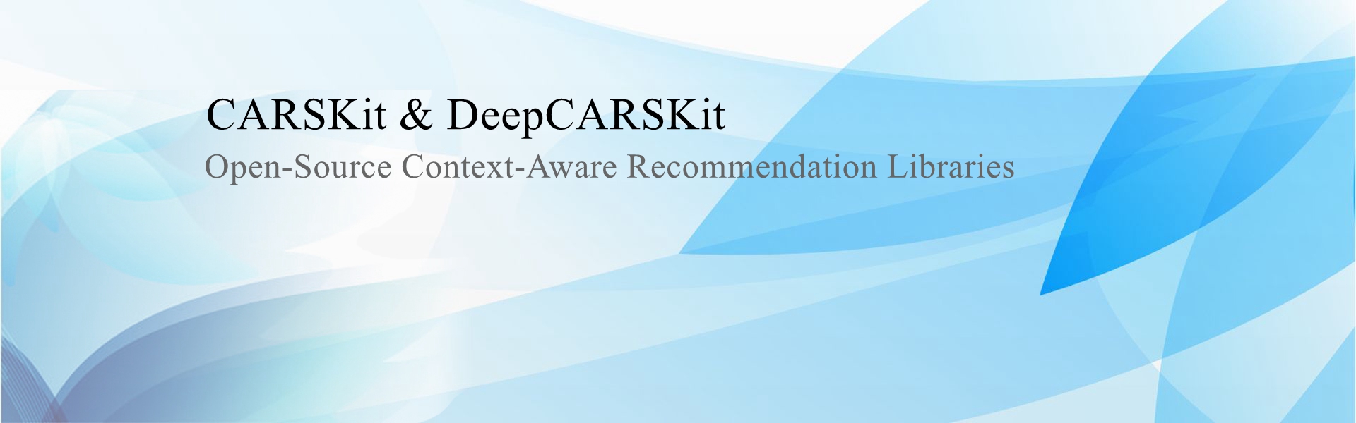 CARSKit Website