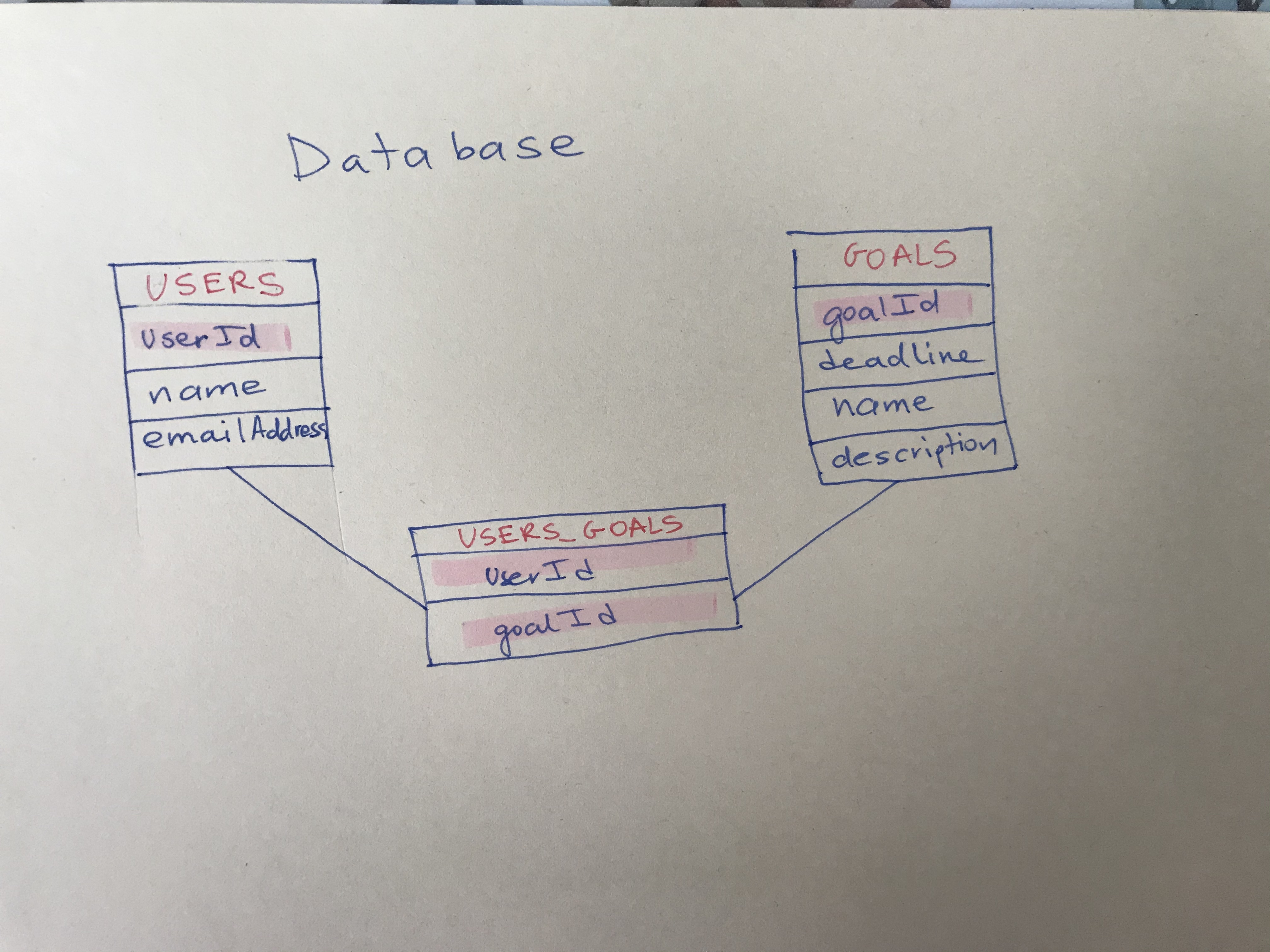 database schema