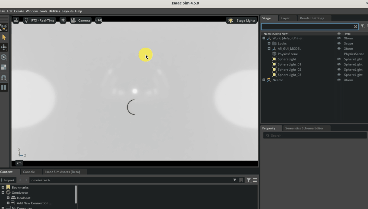 Telesurgery Viewport