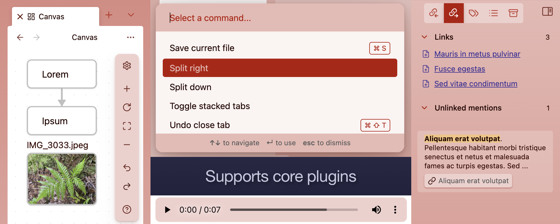 Supports core plugins