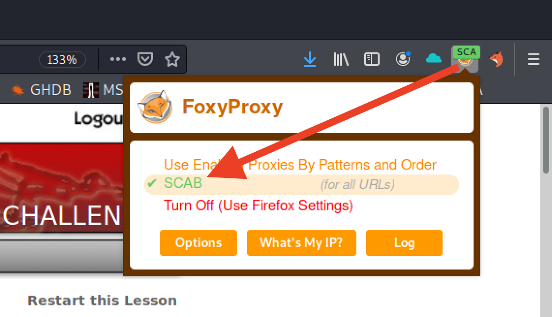 Foxy Proxy