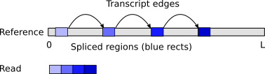 Transcriptome mapping