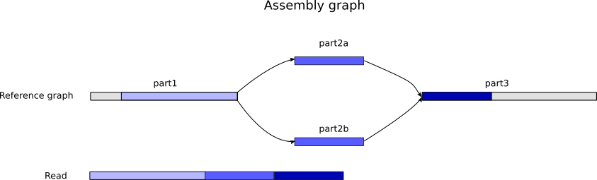 Transcriptome mapping