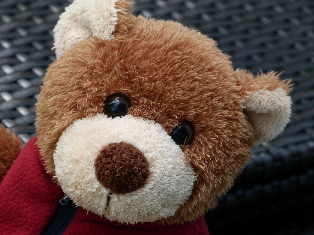 Cute Fuzzy Bear Fuzzy bear
