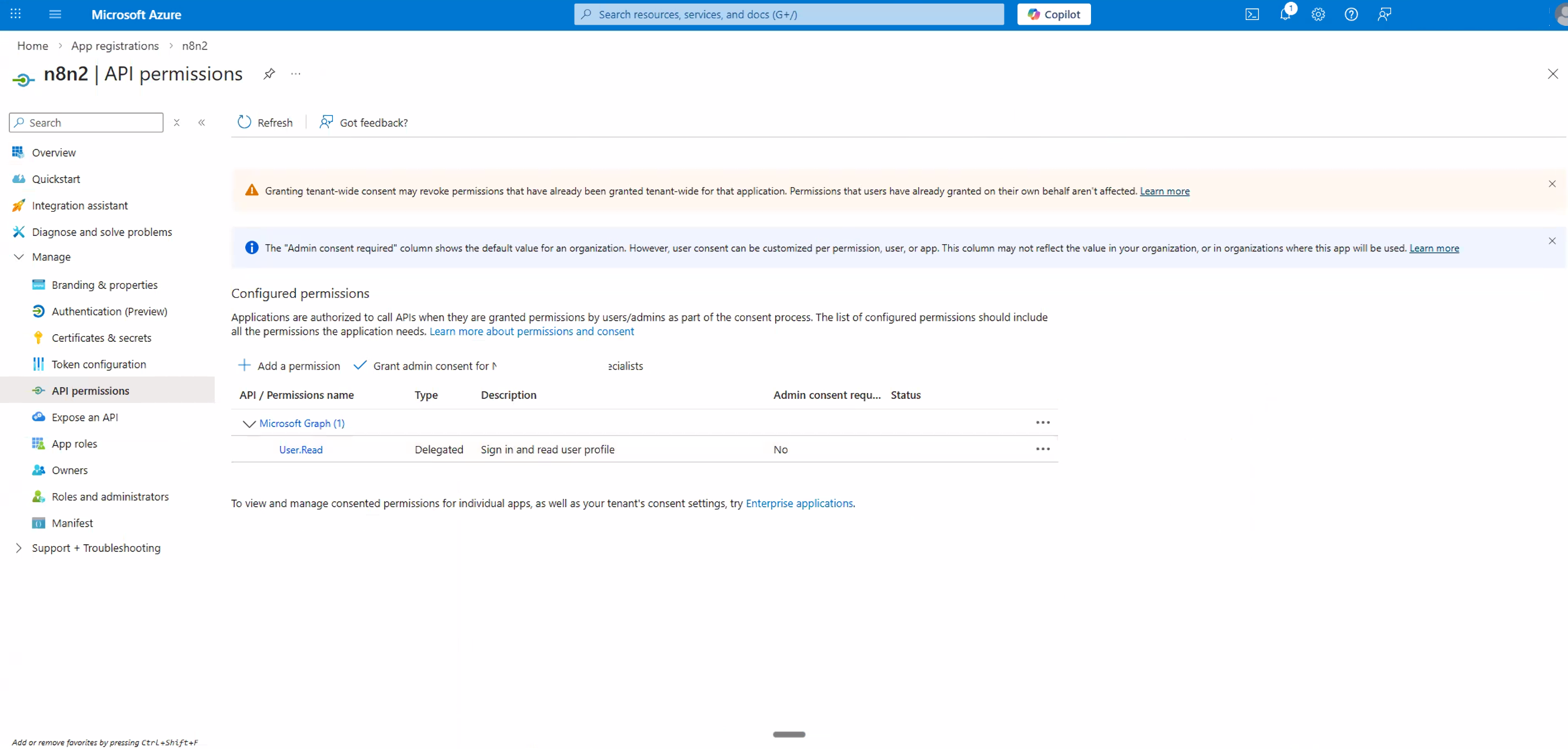 API permissions page showing the default User.Read permission as the only configured permission