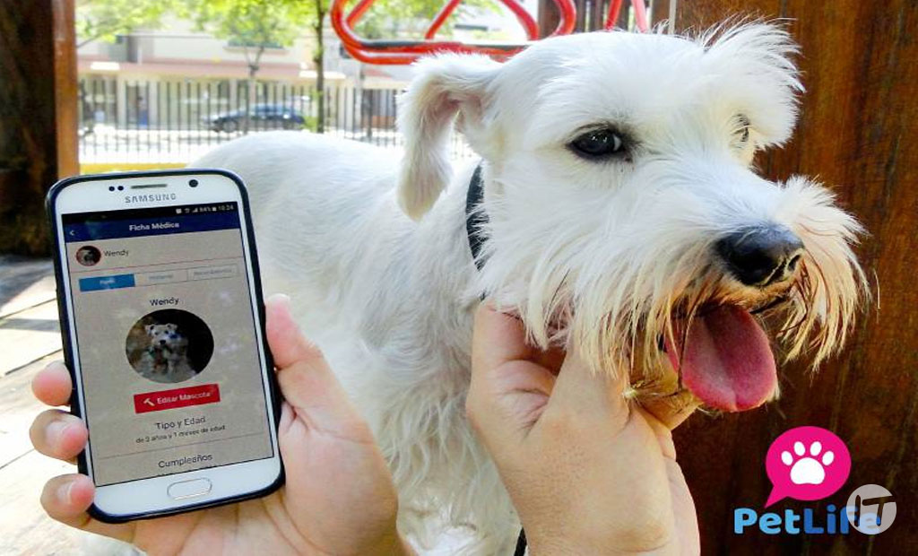 PetLife, una app que promueve el cuidado y ayuda para mascotas