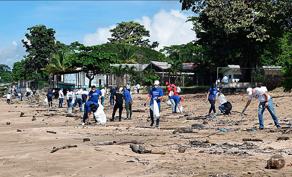 ADEDAPPse suma al Día Mundial de Limpieza de Playas