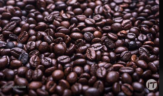 Caficultores latinoamericanos se benefician con aplicación móvil basada en IBM Blockchain que rastrea el origen del café