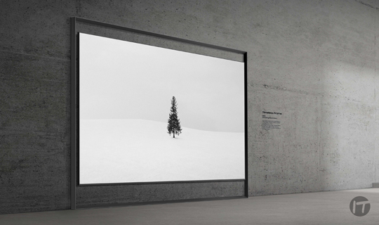 Cogo Facilisis Hendrerit Melior Proprius Ratis Saluto Sit