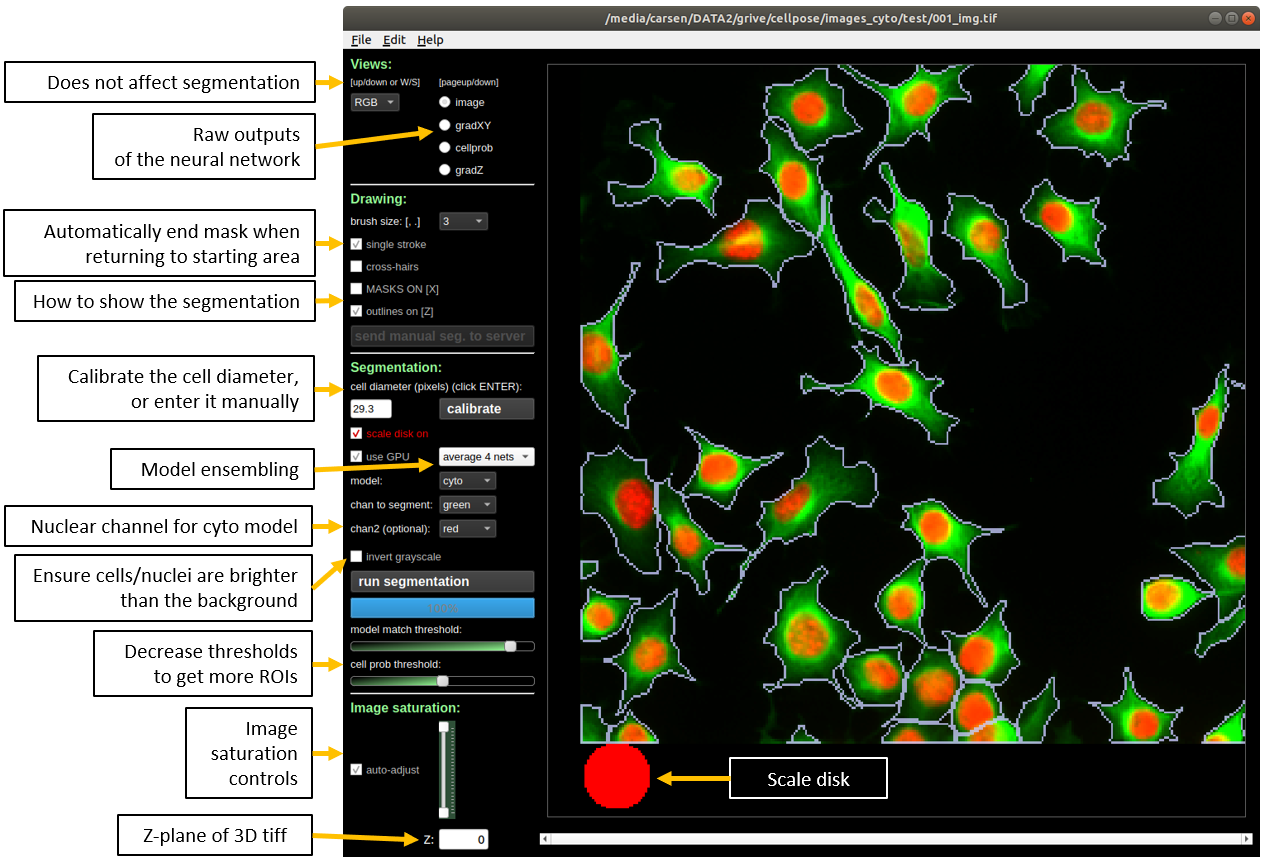 cellpose gui