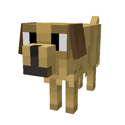 Labrador