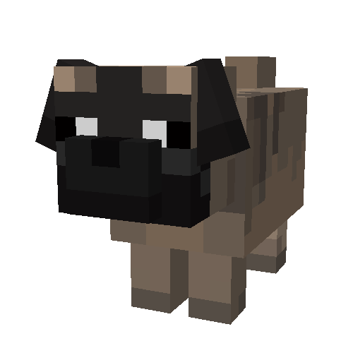 Pug