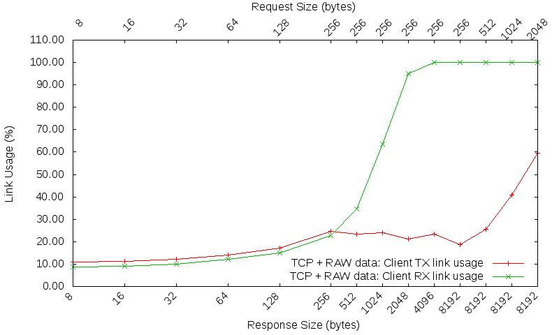 TCP RAW link usage