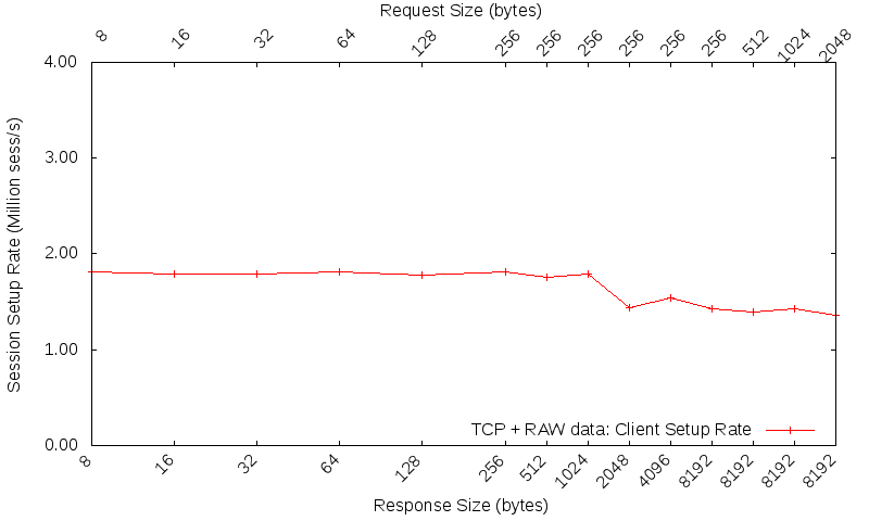 TCP RAW setup