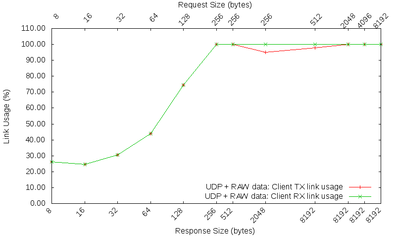 UDP raw link usage