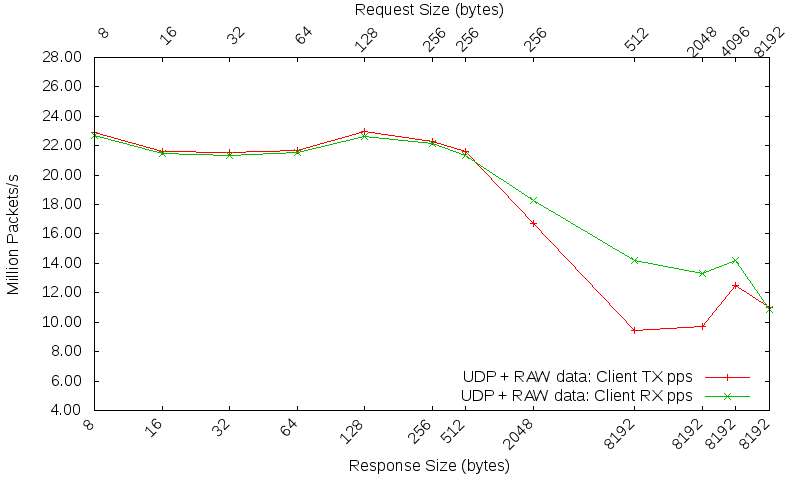 UDP raw pps