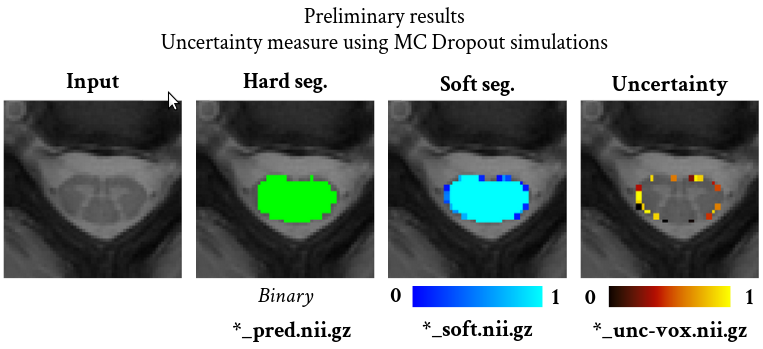 Figure Uncertainty