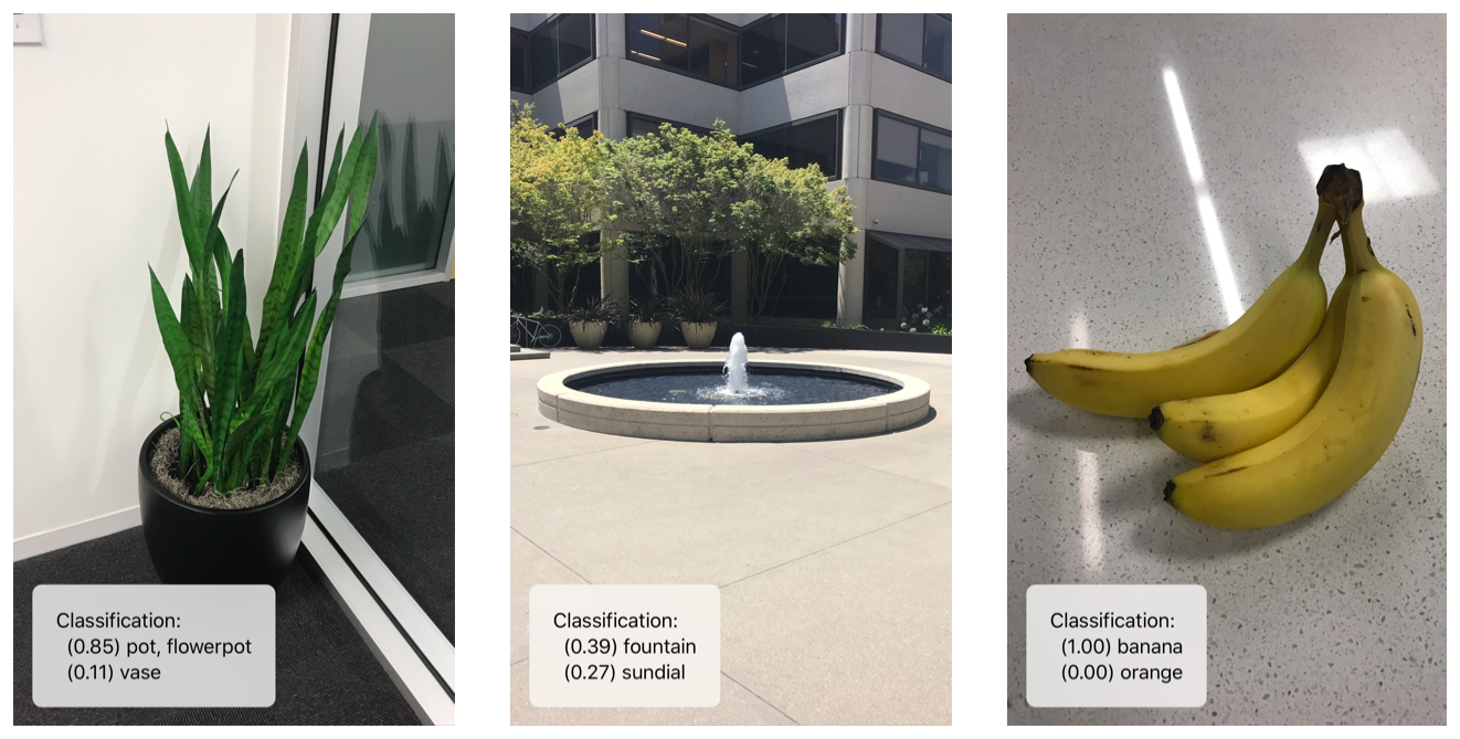 example screenshots of app identifying a potted plant, a fountain, and a bunch of bananas