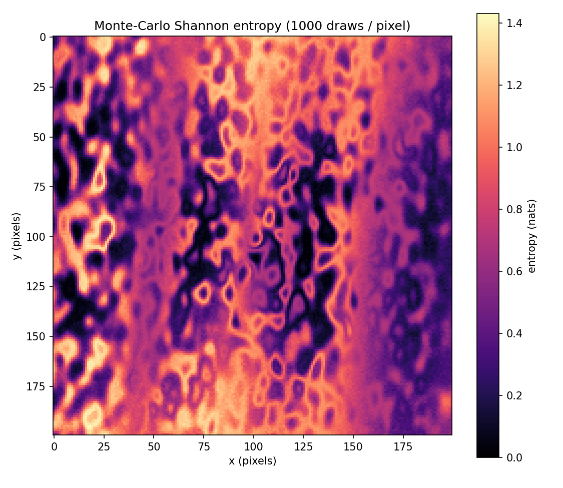 Monte-Carlo Shannon entropy map