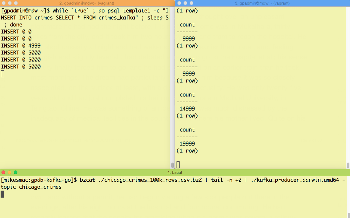 Initial view of data loading process