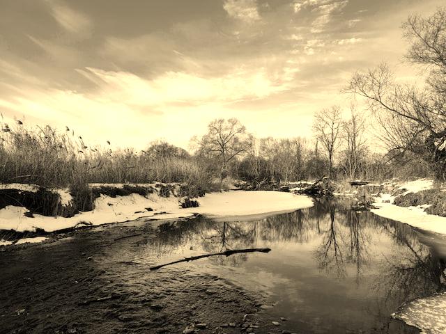 Sepia toned image