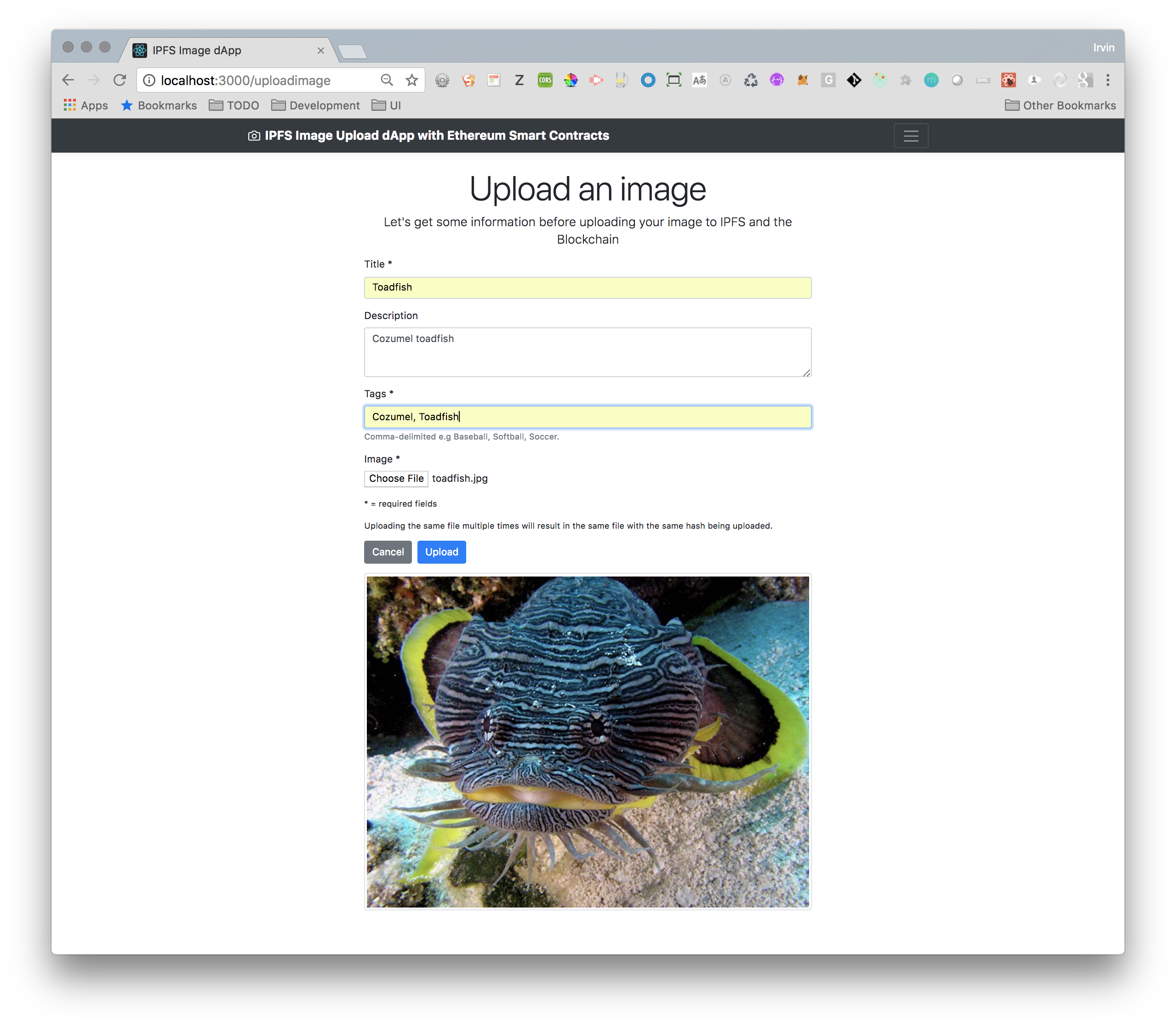 IPFS Image dApp