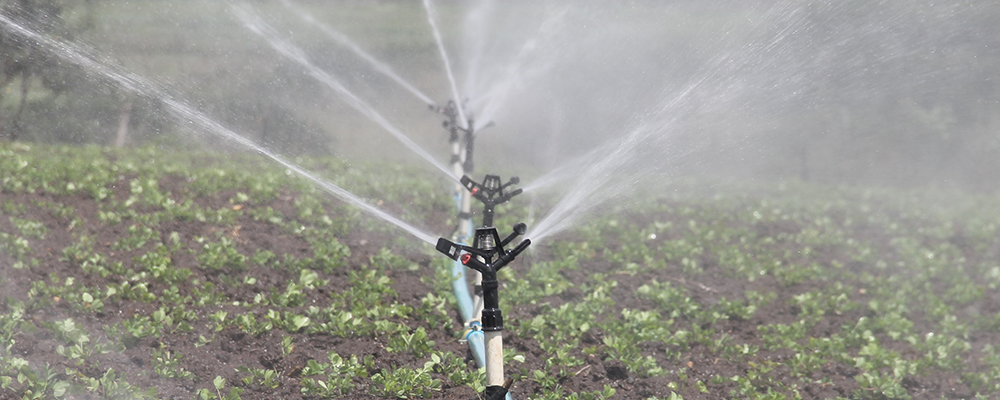 irrigation